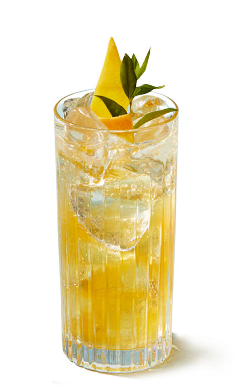 C17 Highball Cocktail Lemon