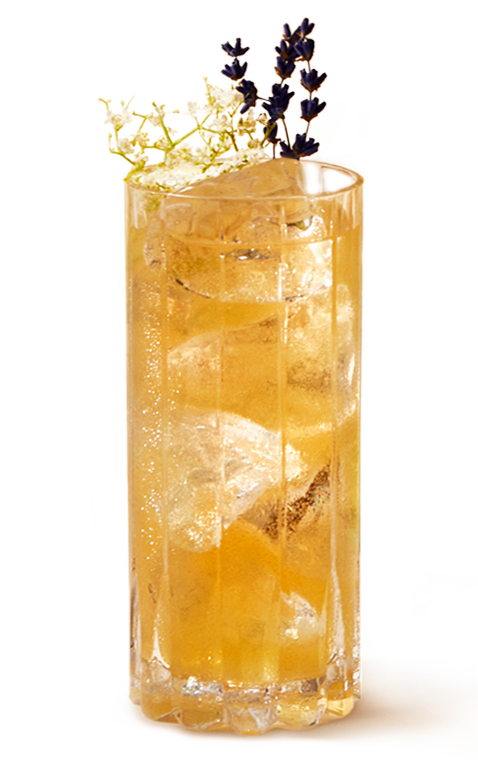 C17 Highball Cocktail Elderflower